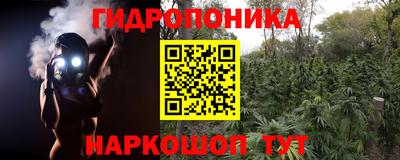 тгк Обь