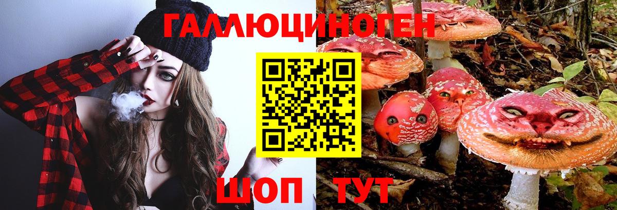 Галлюциногенные грибы Cubensis Семёнов